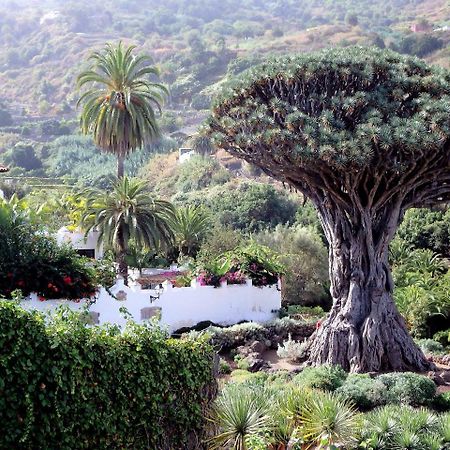 El Rincon With Teide View III Διαμέρισμα Icod De Los Vinos Εξωτερικό φωτογραφία