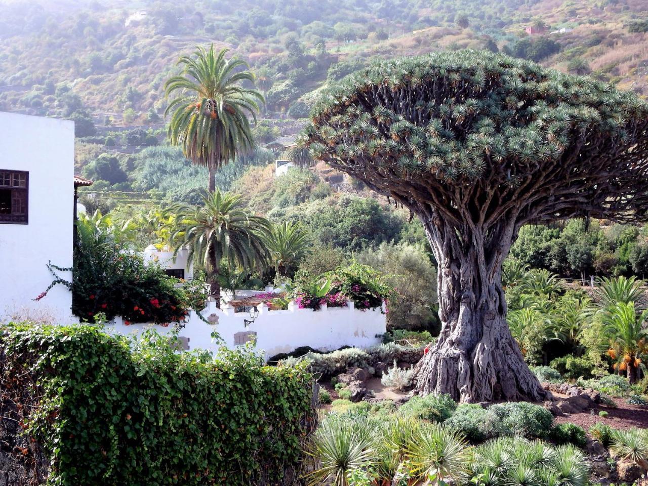 El Rincon With Teide View III Διαμέρισμα Icod De Los Vinos Εξωτερικό φωτογραφία